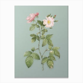 Vintage Red Bramble Leaved Rose Botanical Art on Mint Green Canvas Print