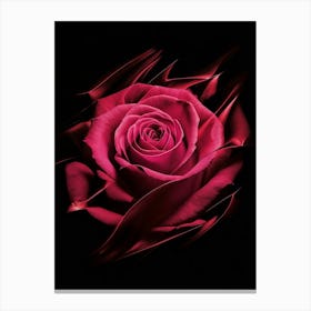 Pink Rose On Black Background 2 Canvas Print