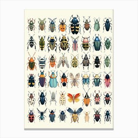 Colourful Insect Illustration Beetle 19 Canvas Print