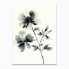 Ink Painted Flower 1 Canvas Print