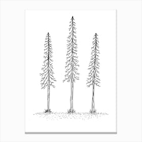 Trio Of Trees Fine Line Canvas Print