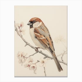 Vintage Bird Drawing Sparrow 1 Canvas Print