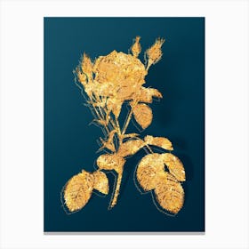 Vintage Double Moss Rose Botanical in Gold on Teal Blue n.0015 Canvas Print
