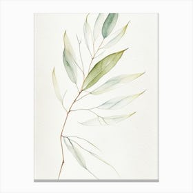 White Willow Leaf Minimalist Watercolour 6 Canvas Print