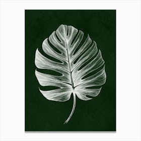 Monstera Leaf Print Canvas Print