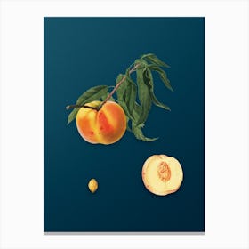 Vintage Peach Botanical Art on Teal Blue n.0294 Canvas Print