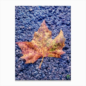 Autumn Leaf 20180809 14ppub Canvas Print