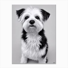 Pumi B&W Pencil dog Canvas Print