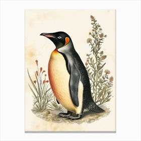 Adlie Penguin Phillip Island The Penguin Parade Vintage Botanical Painting 4 Canvas Print