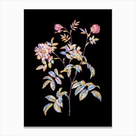 Stained Glass Vintage Cinnamon Rose Mosaic Botanical Illustration on Black n.0362 Canvas Print
