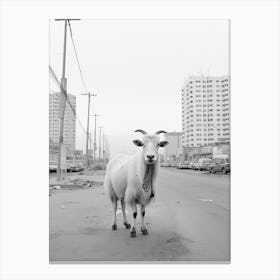 Ulaanbaatar, Mongolia, Black And White Old Photo 1 Canvas Print