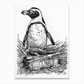 African Penguin Nesting 1 Canvas Print