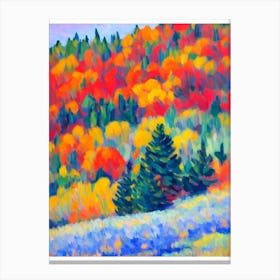 Colorado Blue 2 Spruce tree Abstract Block Colour Canvas Print