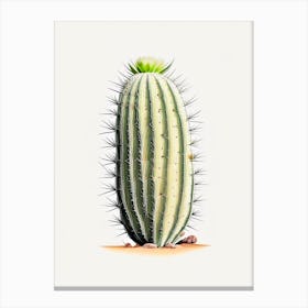 Stenocactus Cactus Marker Art 1 Canvas Print