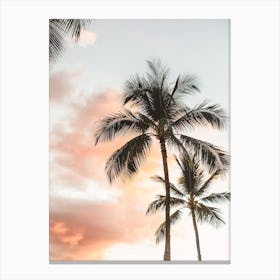 Palm Tree Sunset View Canvas Print