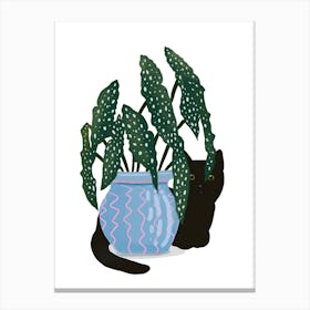 Black Cat, Blue Jar On White Canvas Print