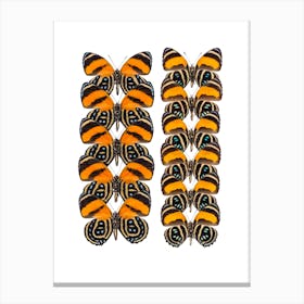 Two Rows Of Orange And Black Butterflies Canvas Print