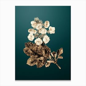 Gold Botanical Oakleaf Hydrangea on Dark Teal n.1153 Canvas Print