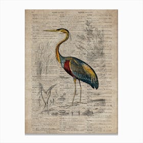 Heron Dictionnaire Universel Dhistoire Naturelle Canvas Print