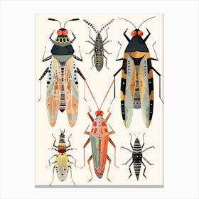 Colourful Insect Illustration Cricket 7 Canvas Print