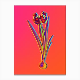 Neon Daffodil Botanical in Hot Pink and Electric Blue n.0346 Canvas Print