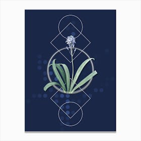 Vintage Spanish Bluebell Botanical with Geometric Line Motif and Dot Pattern Canvas Print