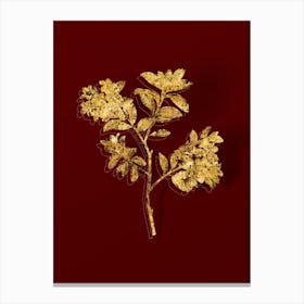 Vintage Hairy Alpenrose Botanical in Gold on Red Canvas Print