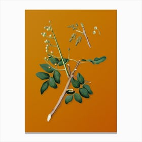 Vintage Pistachio Botanical on Sunset Orange n.0617 Canvas Print