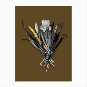 Vintage Crimean Iris Black and White Gold Leaf Floral Art on Coffee Brown n.0697 Canvas Print
