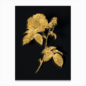 Vintage Apothecary Rose Botanical in Gold on Black n.0042 Canvas Print
