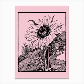 Sunflower On A Pink Background Canvas Print