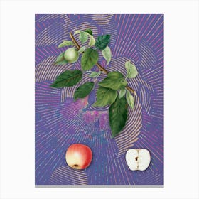 Vintage Apple Botanical Illustration on Veri Peri n.0180 Canvas Print