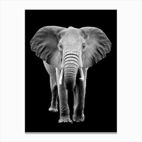 Black And White Elephant Canvas Print