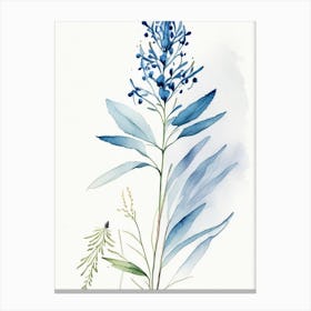 Blue Cohosh Herb Minimalist Watercolour 1 Canvas Print