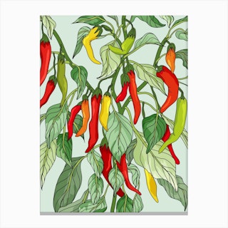 Chilli Plant Canvas Print