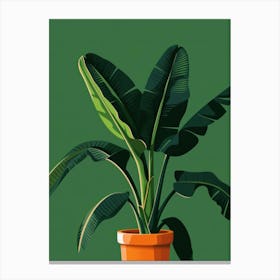 Banana Plant In A Pot 7 Canvas Print