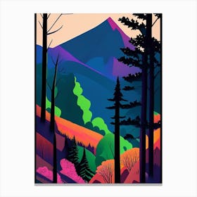 Great Smoky Mountains National Park United States Of America Pop Matisse Canvas Print
