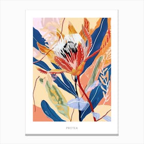 Colourful Flower Illustration Poster Protea 1 Canvas Print