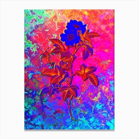 White Anjou Roses Botanical in Acid Neon Pink Green and Blue n.0230 Canvas Print