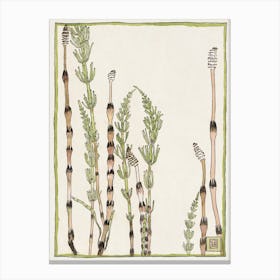 Horsetail (1915), Hannah Borger Overbeck Canvas Print