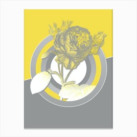 Vintage Centifolia Roses Botanical Geometric Art in Yellow and Gray n.137 Canvas Print