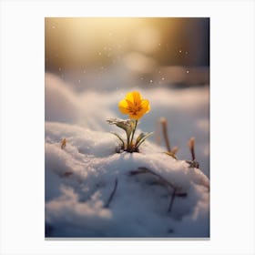 Flower In The Snow Canvas Print