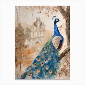 Peacock By The Castle Watercolour 2 Canvas Print