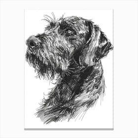German Wirehaired Pointer Dog Black & White Line Sketch 1 Canvas Print