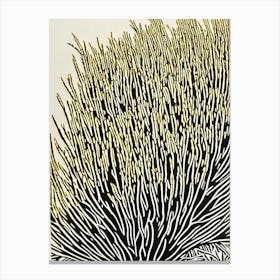 Acropora Humilis Ii Linocut Canvas Print
