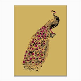 Yellow Peacock Canvas Print