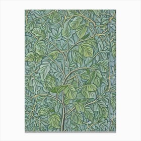 Fig Leaves Vintage Botanical Fruit Canvas Print