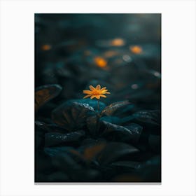 Flower In The Dark 24 Canvas Print