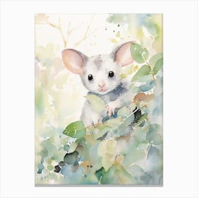 Light Watercolor Painting Of A Eucalyptus Loving Possum 4 Canvas Print