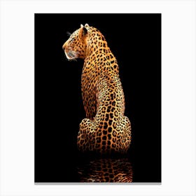 Leopard On A Black Background Canvas Print